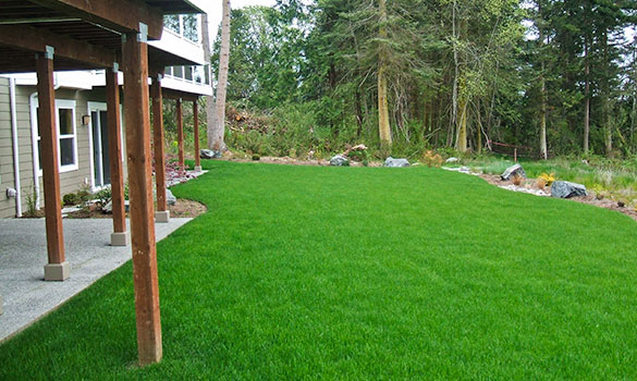 Lawn Maintenance Oak Harbor WA